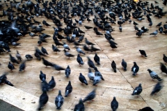 istanbul-turkey-2-88