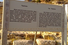 palamutbuku-datca-64